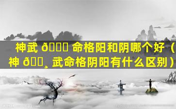 神武 🐎 命格阳和阴哪个好（神 🌸 武命格阴阳有什么区别）